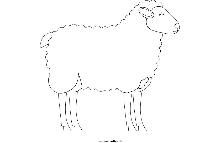 Ausmalbild-Vorschau: Schaf