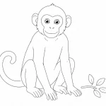 Affe Ausmalbild zum Ausdrucken