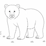 Bär Ausmalbild zum Ausdrucken