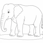 Elefant Ausmalbild zum Ausdrucken