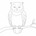 Eule Ausmalbild zum Ausdrucken