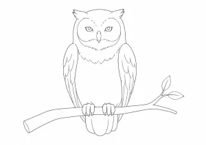 Eule Ausmalbild zum Ausdrucken