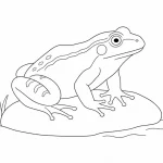 Frosch Ausmalbild zum Ausdrucken