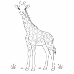 Giraffe Ausmalbild zum Ausdrucken
