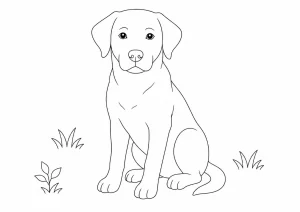 Hund Ausmalbild zum Ausdrucken