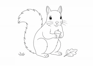 Eichhörnchen Ausmalbild zum Ausdrucken