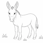 Esel Ausmalbild zum Ausdrucken