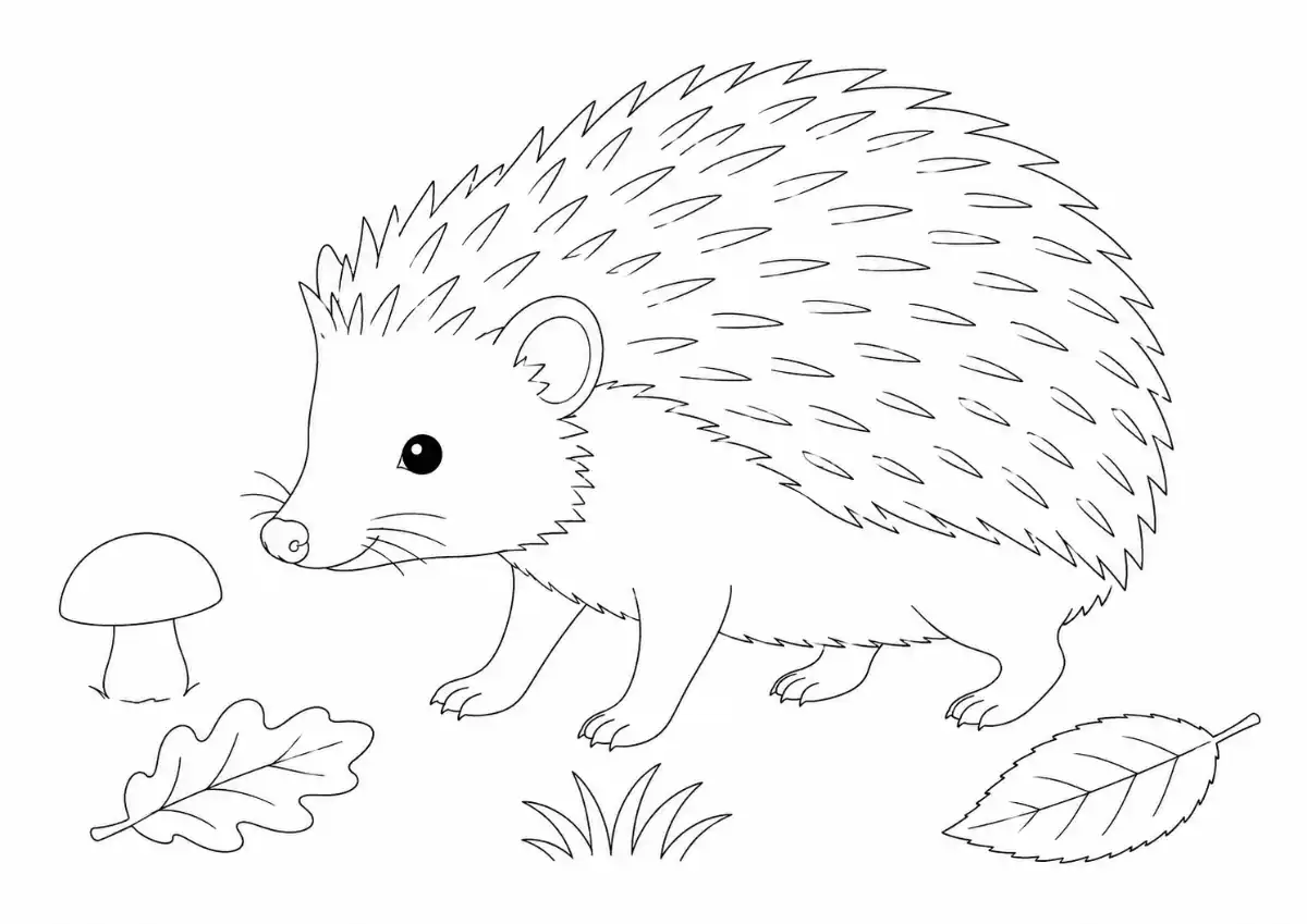 Igel Ausmalbild zum Ausdrucken