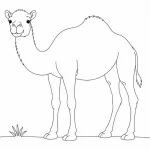 Kamel Ausmalbild zum Ausdrucken