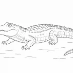 Krokodil Ausmalbild zum Ausdrucken