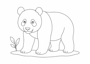 Panda Ausmalbild zum Ausdrucken