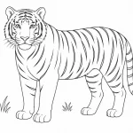 Tiger Ausmalbild zum Ausdrucken